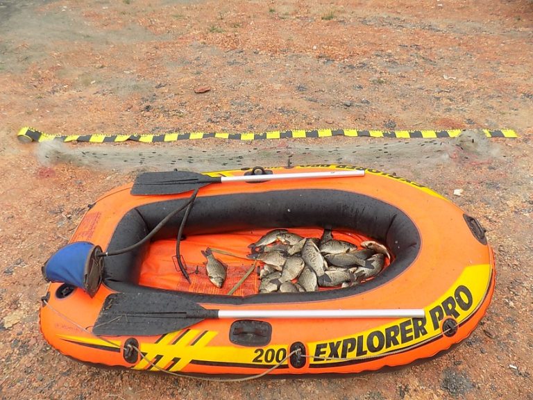 Braconieri prinși cu plasa pe un lac din comuna Urdari