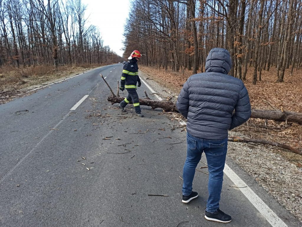 Copac căzut pe o mașină pe un drum național din Gorj