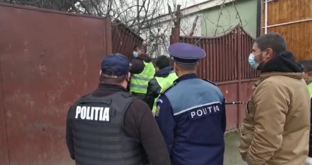 VIDEO Câini fără stăpân luați de pe străzi și înfometați. Poliția face cercetări