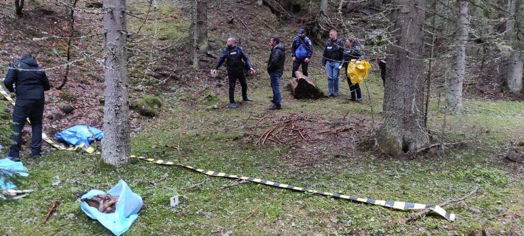 27 de câini găsiți morți în zona Parcului Național Retezat