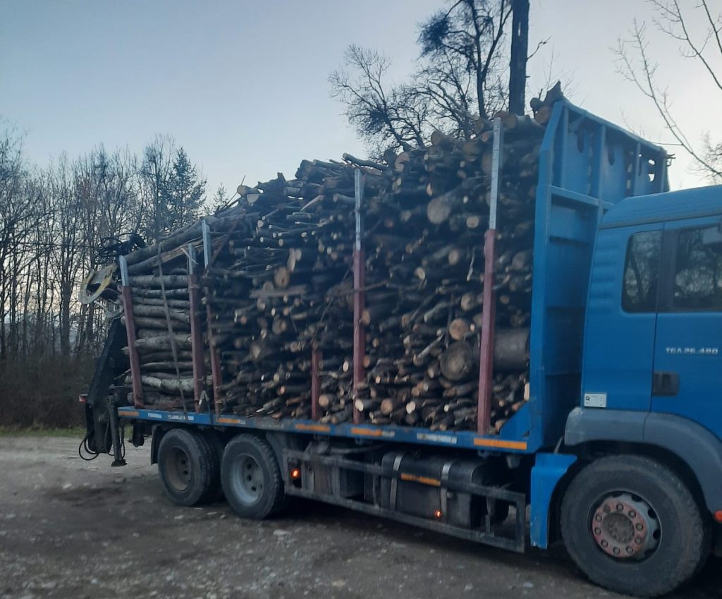 Transport ilegal de lemne