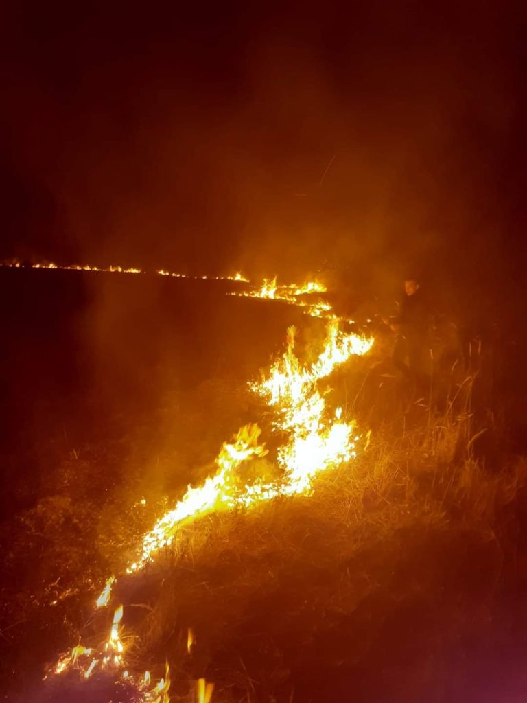 Incendii de vegetație în Motru și Bălești