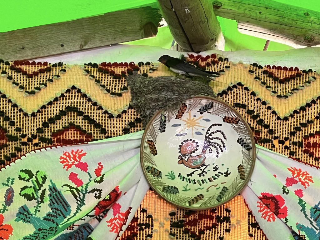 Vizitator surpriză la stâna Ștefanu. „Ce mă fac la toamnă când va trebui să plec nu mă pot atinge de căsuța ei“
