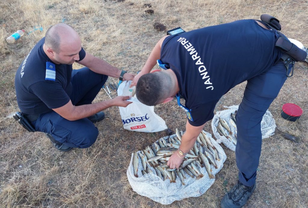 Au „curentat“ aproape 100 de păstrăvi în râul Gilort. Doi bărbați din Crasna sunt acuzați de braconaj