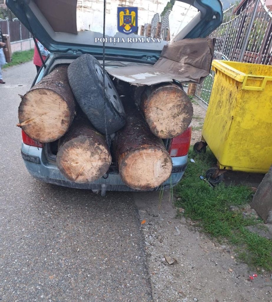 A încărcat într-un autoturism mai mulți bușteni. Nu avea permis de conducere