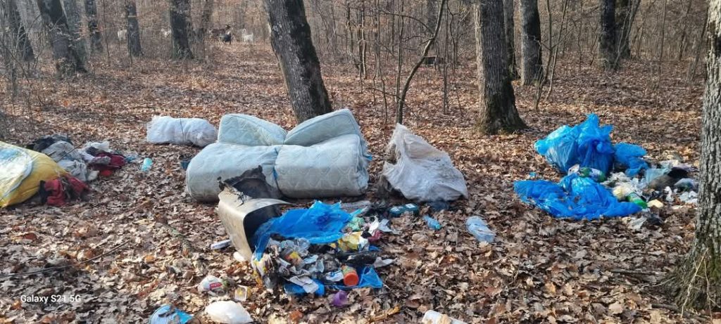 Pădure din Gorj plină de gunoaie
