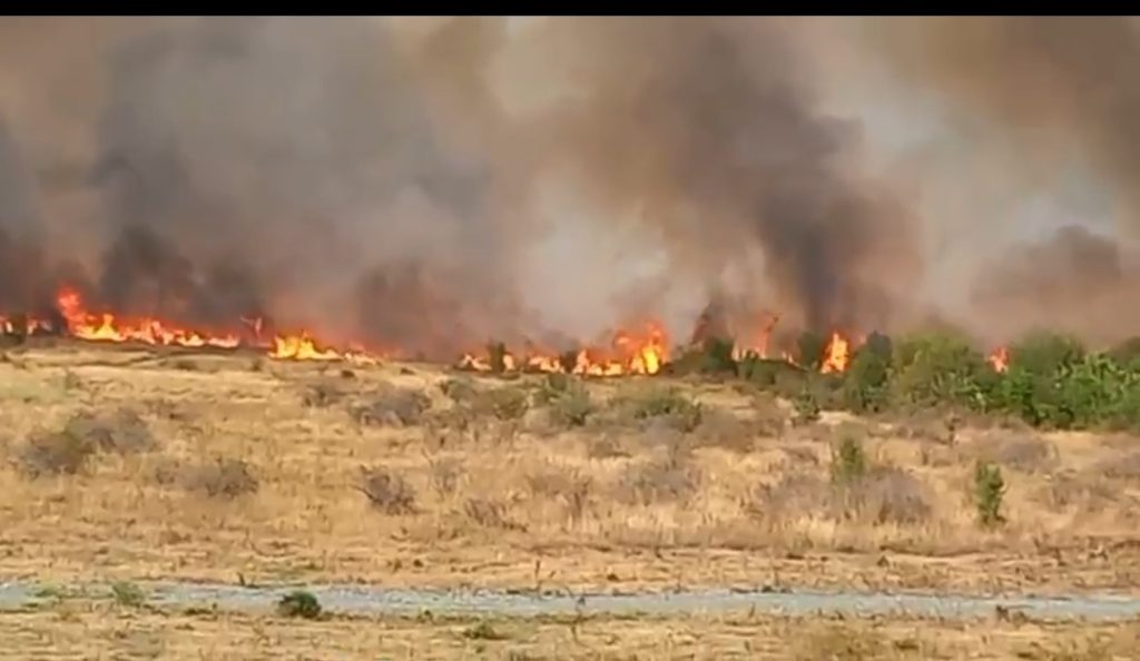 VIDEO Incendiu de vegetație de amploare în Târgu Jiu
