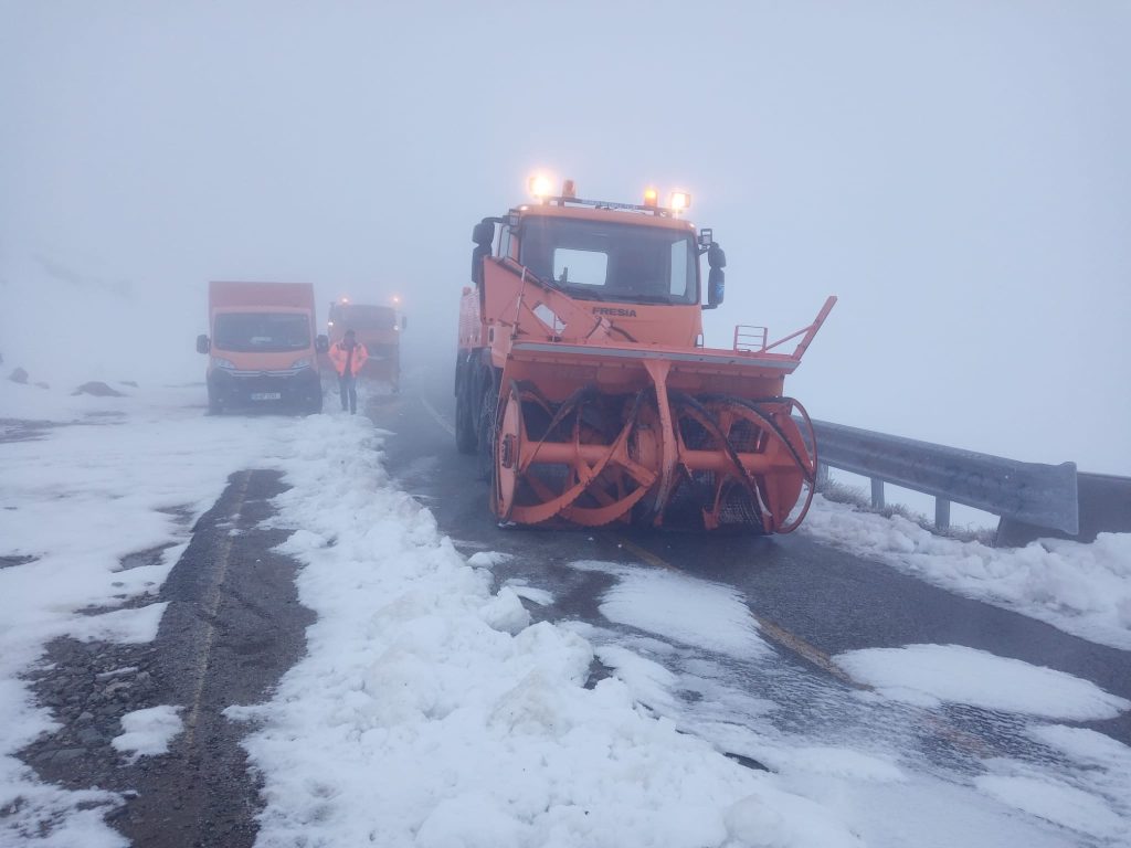 VIDEO Se acționează pe Transalpina pentru a crea un culoar de trecere pentru turmele de oi