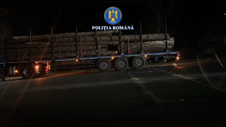 Depistat de polițiștii din Novaci când transporta o cantitate de lemne mai mare decât cea din documente