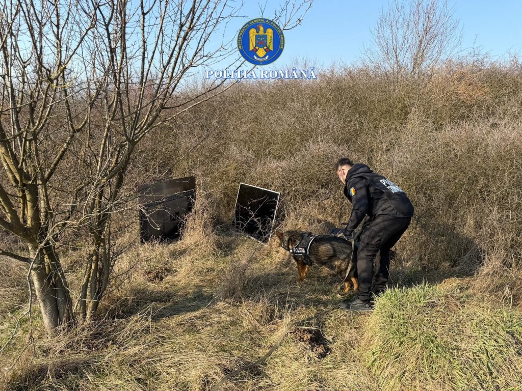 Bunuri furate de un minor de 15 ani găsite cu ajutorul unui câine polițist