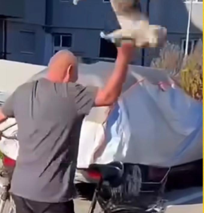 Bărbat din Rovinari acuzat că a ucis o pisică pe o stradă din oraș
