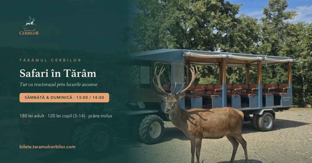 „Safari la Tărâm“, invitație inedită într-o pădure din Gorj