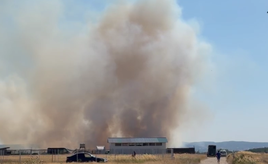 Incendiu de vegetație de amploare în Târgu Jiu
