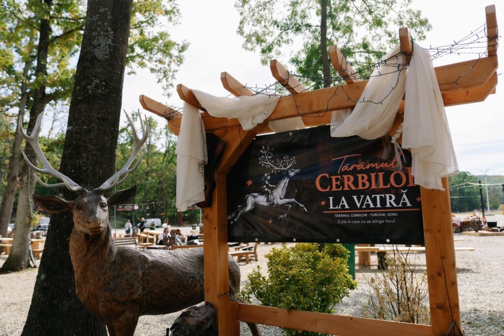 VIDEO Tocane de cerb, de miel și de muflon, gătite „La Vatră” la Tărâmul Cerbilor din Turceni